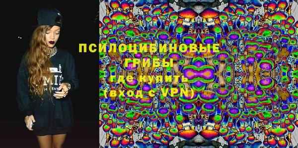 гидра Вязники