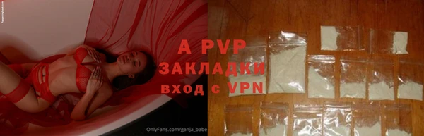 гидра Вязники
