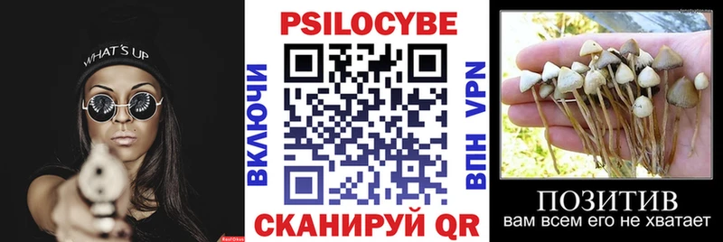 Купить  Вязьма  Псилоцибиновые грибы Magic Shrooms 